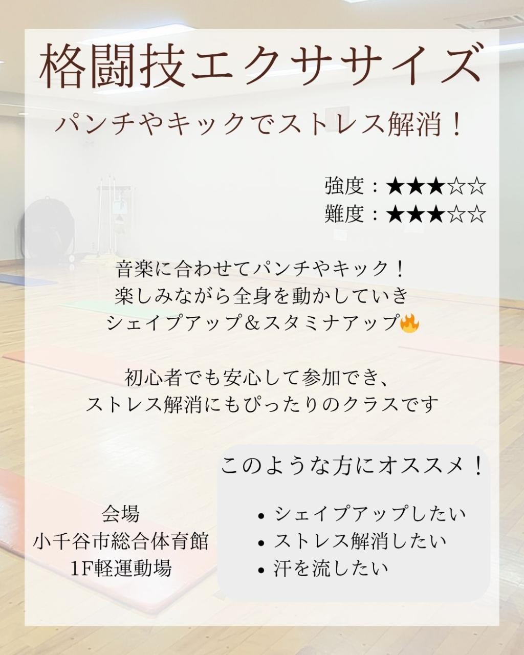 格闘技エクササイズ